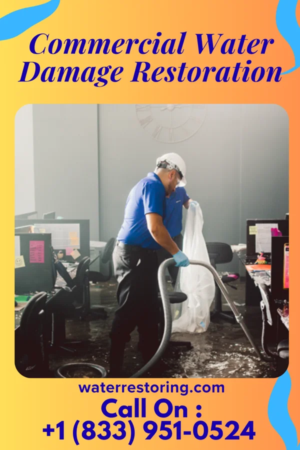 Commercial Water Damage Restoration in Risco, MO