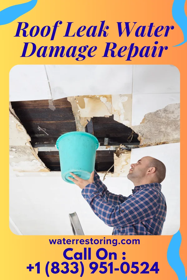 Roof Leak Water Damage Repair in Risco, MO